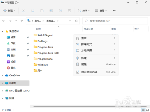 Win11如何查看所隐藏的文件