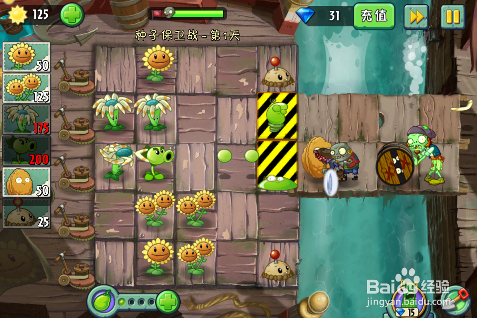 植物大战僵尸2:种子保卫战第1天(海盗港湾)