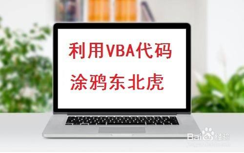 利用VBA代码涂鸦东北虎