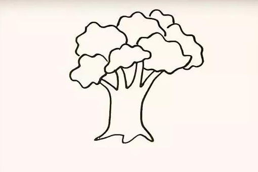 树的简笔画怎么画
