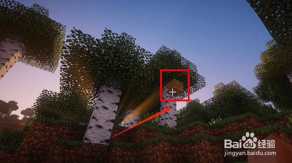 我的世界蜜蜂在哪里找