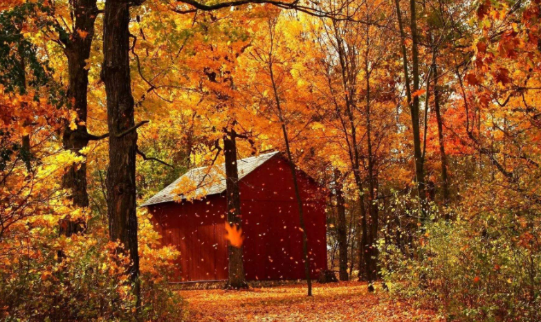 一年级四季仿照句子