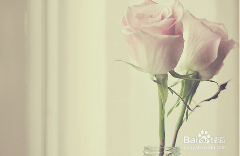 选购房屋心得：[4]还款方式比较