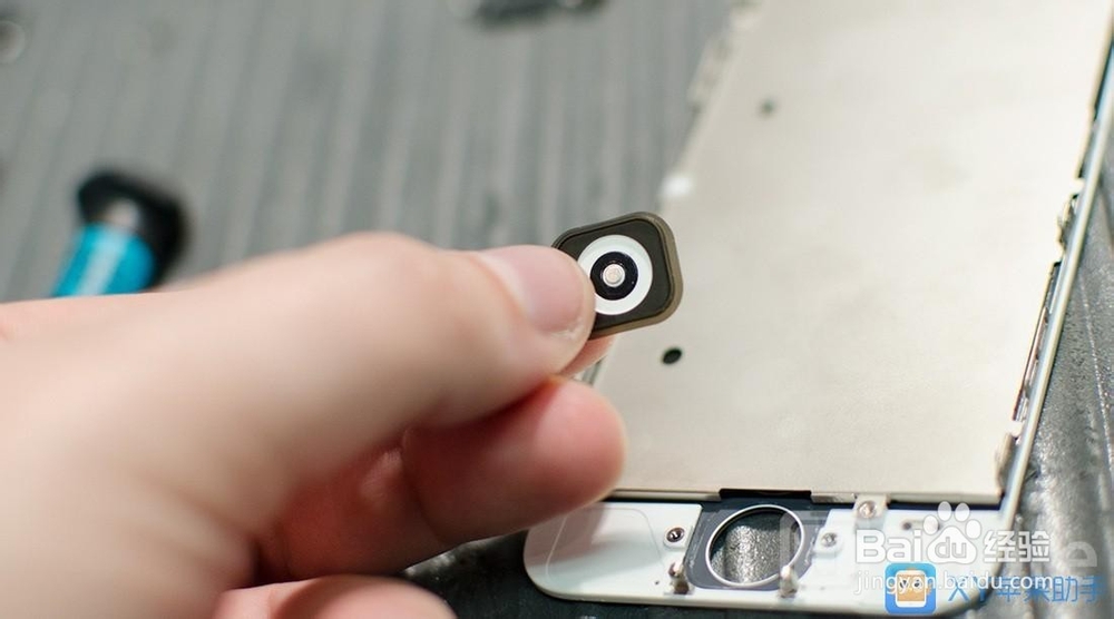 iPhone Home键究竟耐不耐用