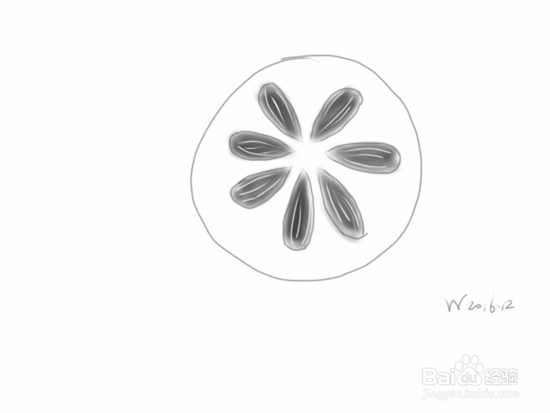 <b>如何手绘一小盘葵花籽</b>