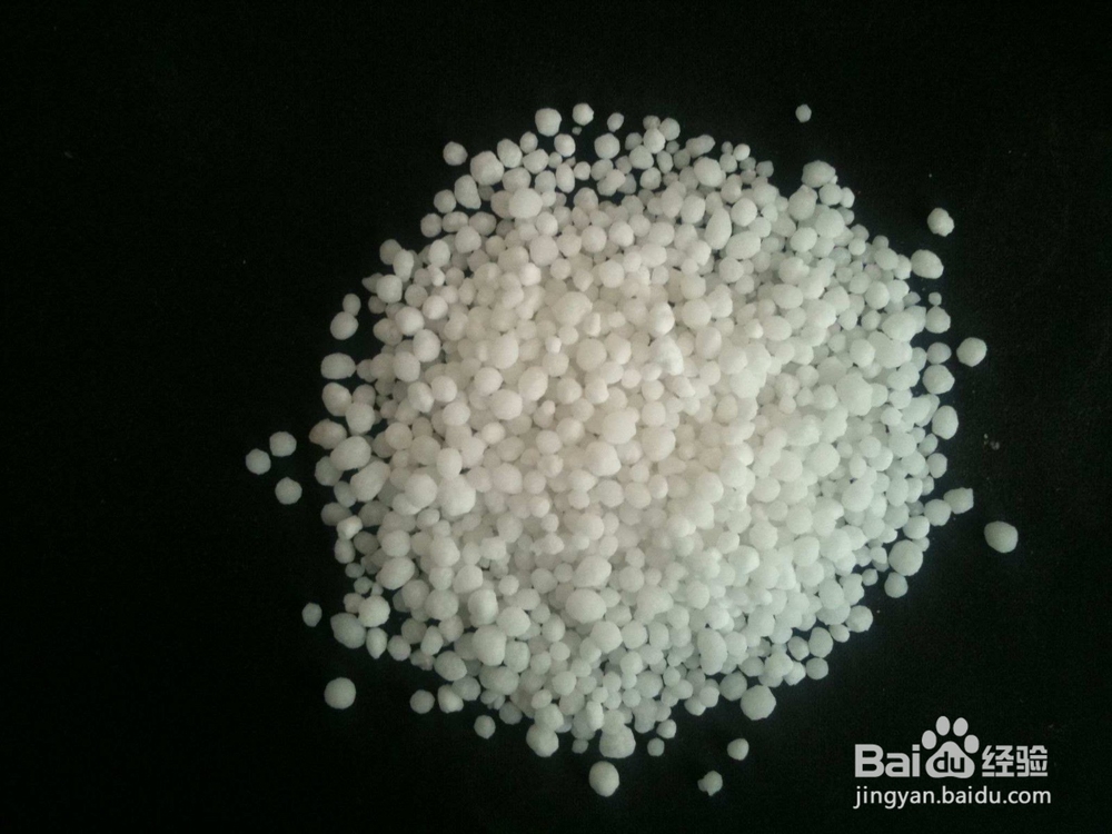 氮元素对植物生长的作用