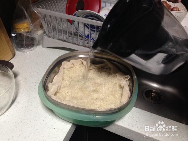 非常简单的米酒酒酿