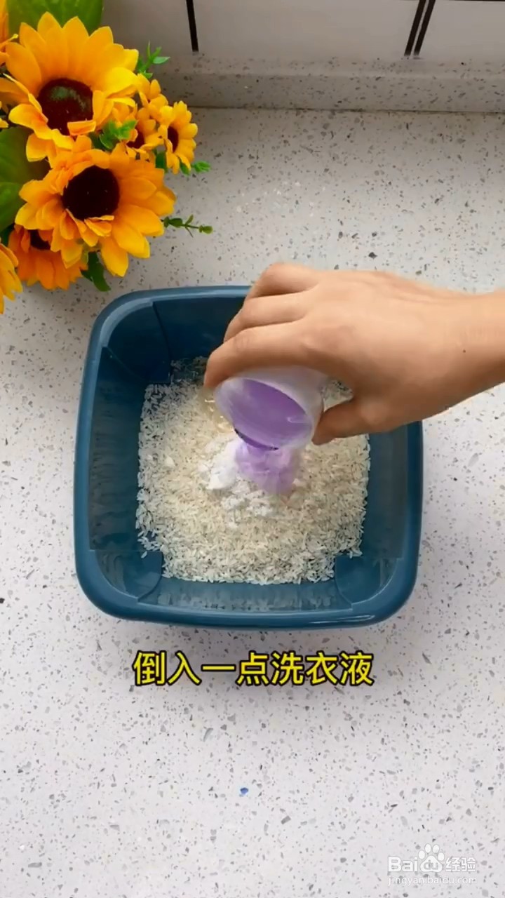 如何消灭家里的老鼠