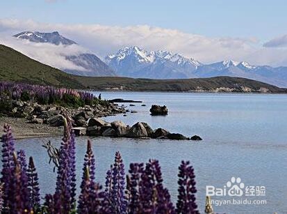 出国游应当注意哪些事项