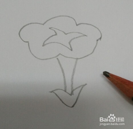 简笔画【牵牛花】画法