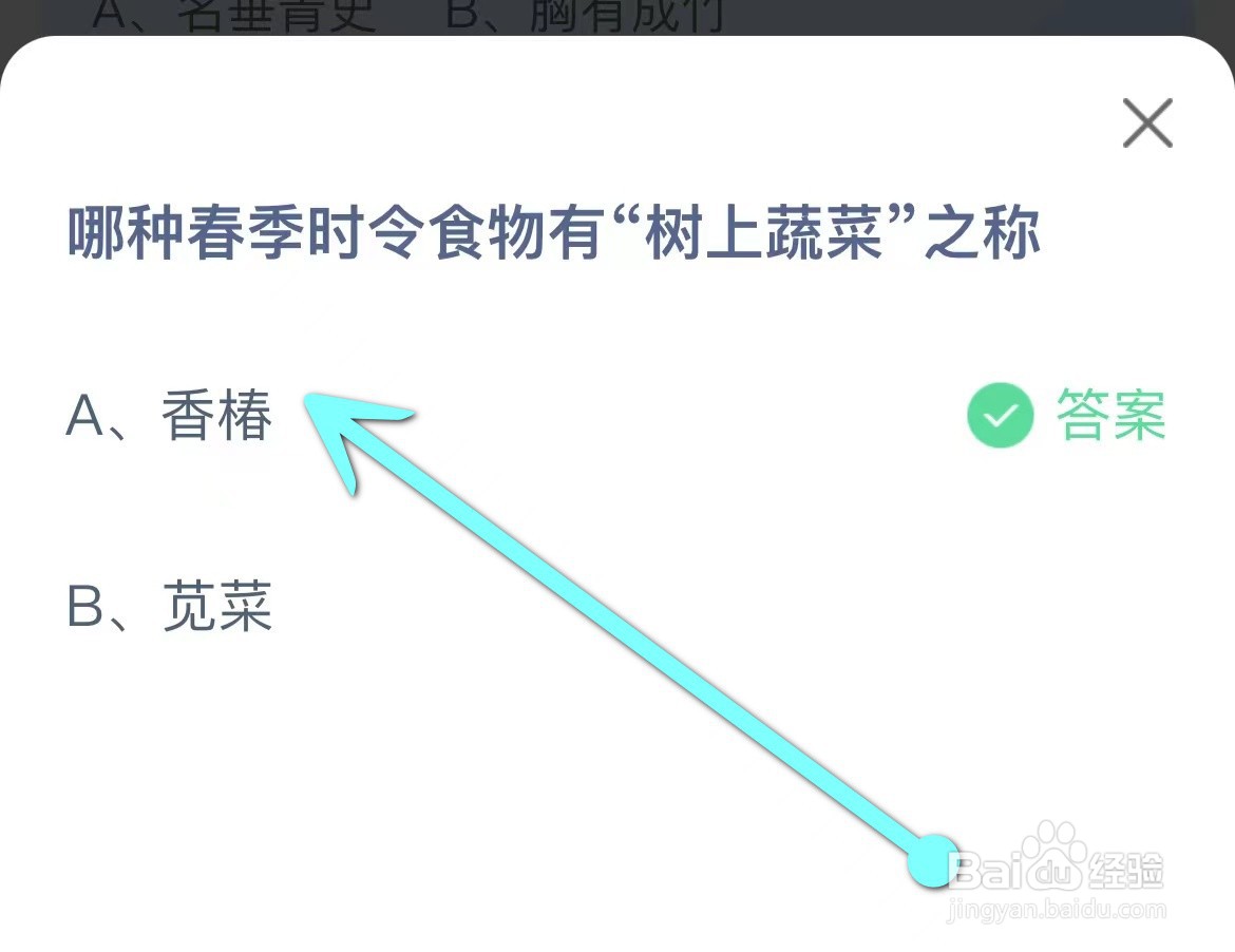 蚂蚁庄园：哪种春季时令食物有“树上蔬菜”之称