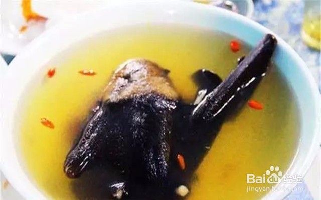 十一免签的高性价比海岛——帕劳旅游攻略