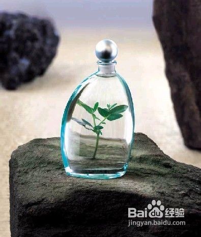 怎样取得成功
