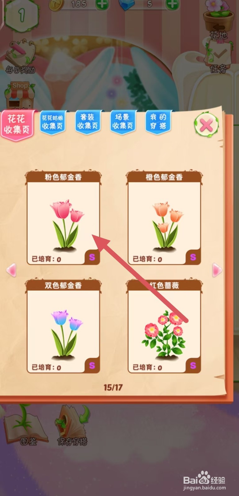 花花姑娘怎么查看粉色郁金香的生长速度