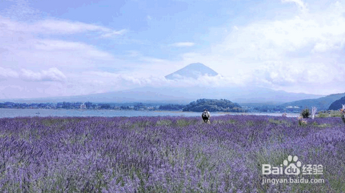 富士山旅游攻略