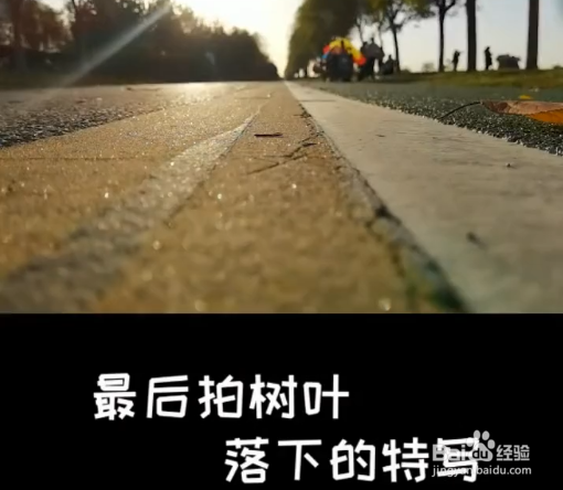 秋天落叶怎么拍？