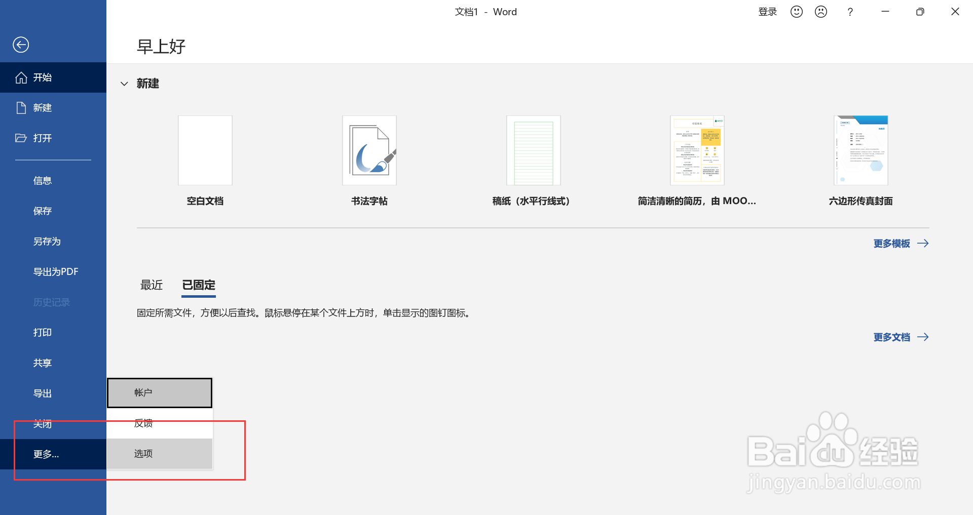 word2010开发工具选项卡