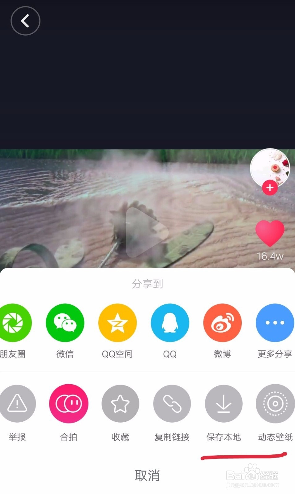 抖音励志蒲公英（手机）电脑动态壁纸设置攻略