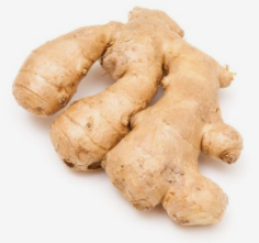 哪些植物可以提取精油