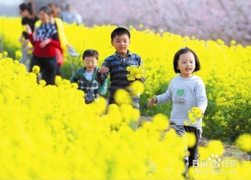 不想和婆婆住一起又没人带小孩怎么办