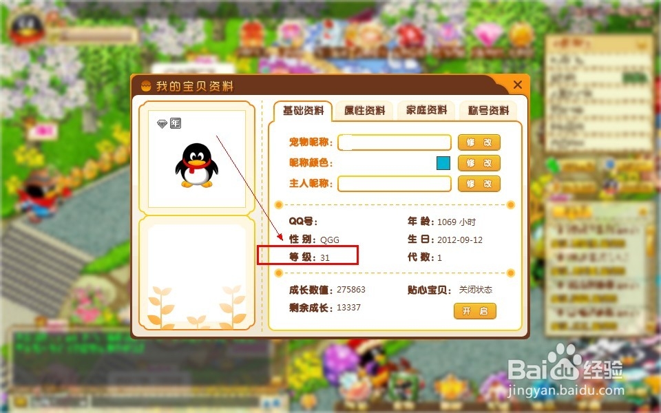怎样查看QQ宠物的等级