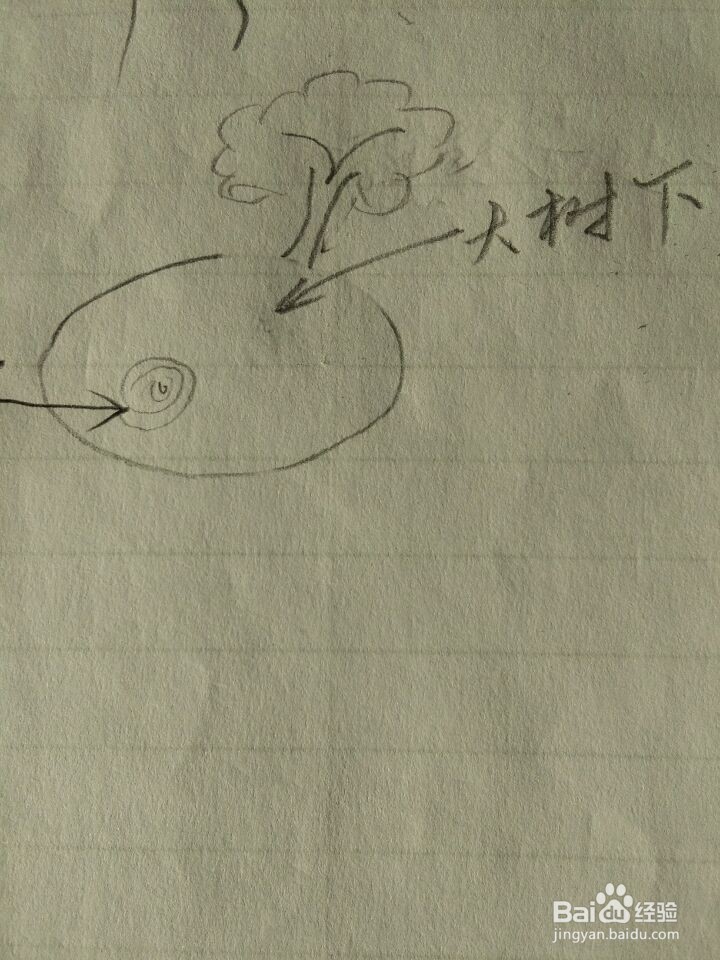 冬季如何才能钓到鱼