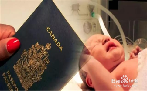 加拿大海外生子机构怎么选择?