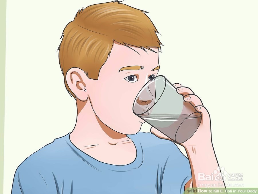 如何杀死体内的大肠杆菌