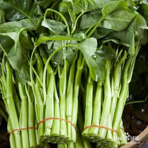 空心菜和养心菜的区别?