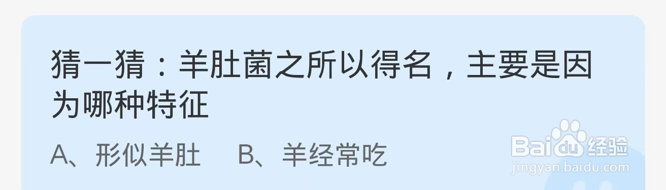 蚂蚁庄园2024.10.2：羊肚菌之所以得名