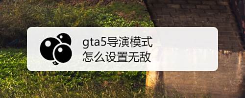 Gta5导演模式怎么设置无敌 百度经验 Gta5导演模式怎么设置无敌 百度经验