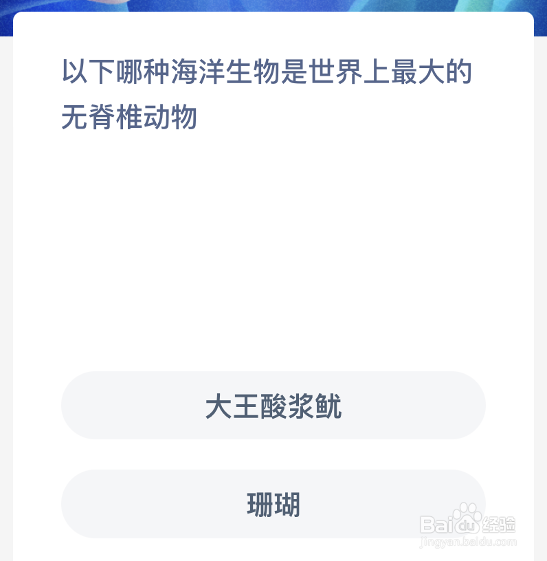 神奇海洋哪种海洋生物是世界上最大的无脊椎动物