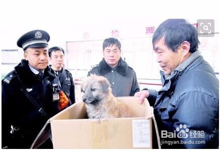 乘坐火车时哪些年货在可选范围内呢