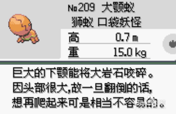 口袋漆黑的魅影:大颚蚁在哪里抓?