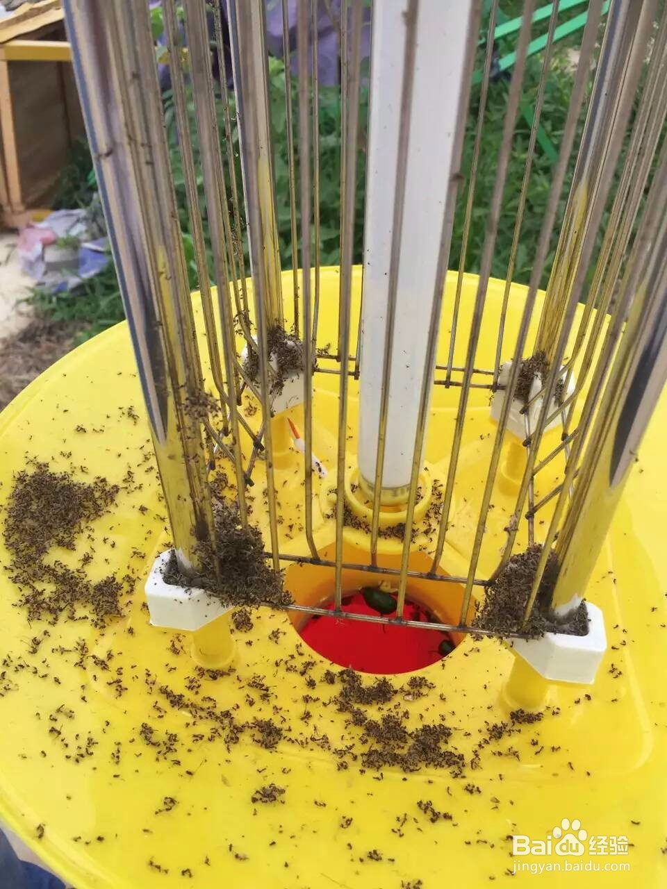 农业杀虫灯价格是多少？