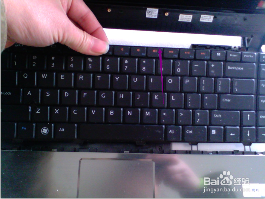 DEL INSPIRON 1464拆机