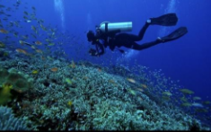 潜水的常见问题