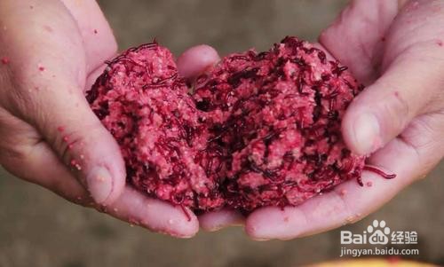 钓鱼王红虫饵怎么使用