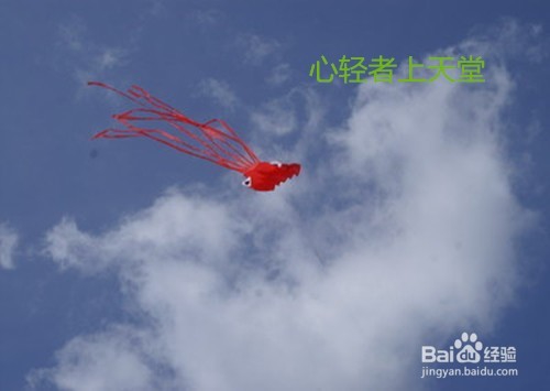 大学生活应该怎样度过才浪费青春