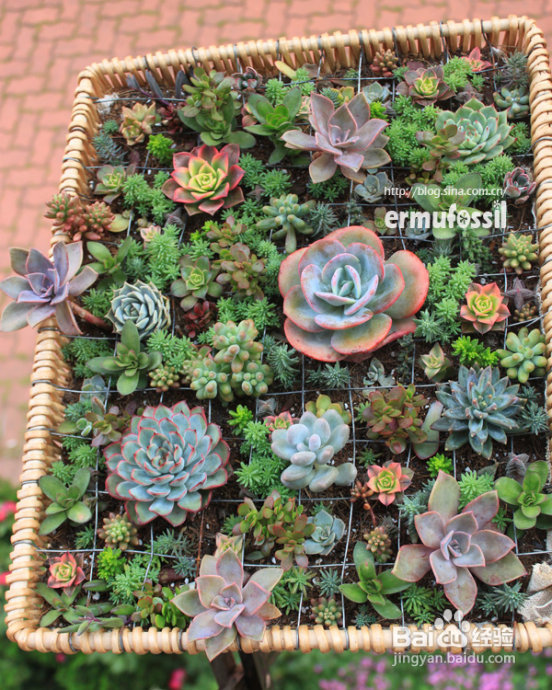 2012年6月23日 记录