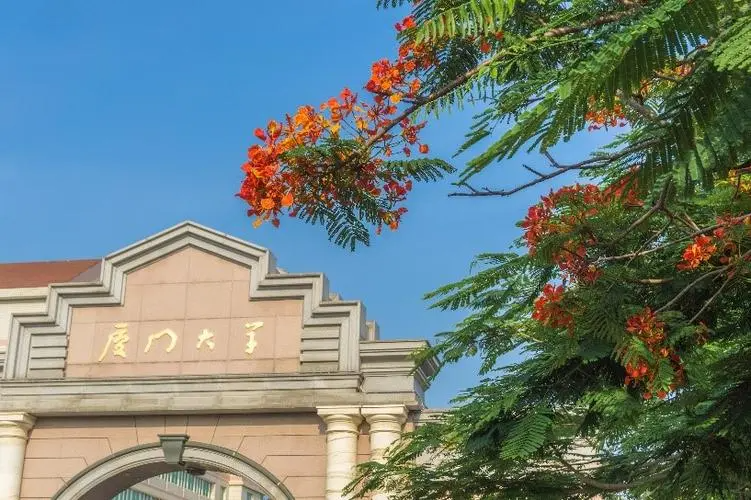 中国211大学名单一览表