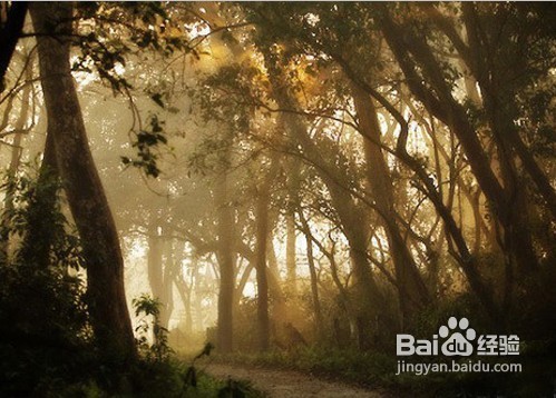 尼泊尔游玩攻略指南