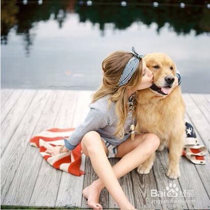 喂，铲屎的！你家狗有话对你说！