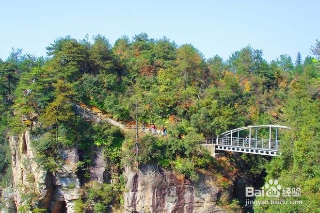 张家界自助游一家亲