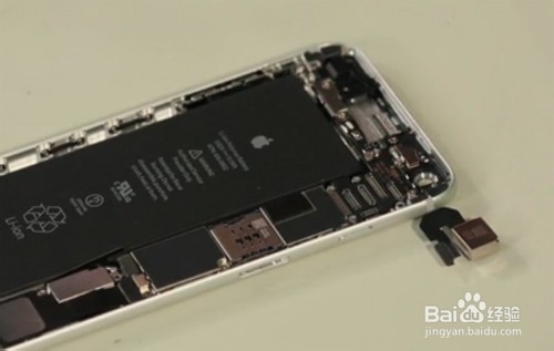 江湖百晓生：iPhone 6和iPhone 6 Plus有何不同