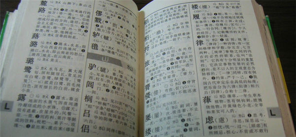 “万”加“、”是——字,给这两个字分别组词:——和——。