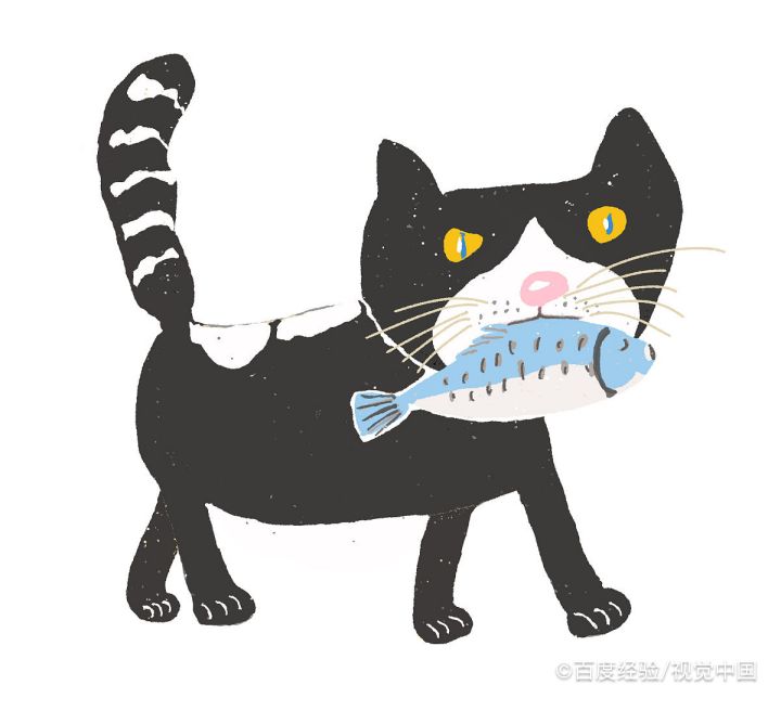 猫咪为什么不吃东西