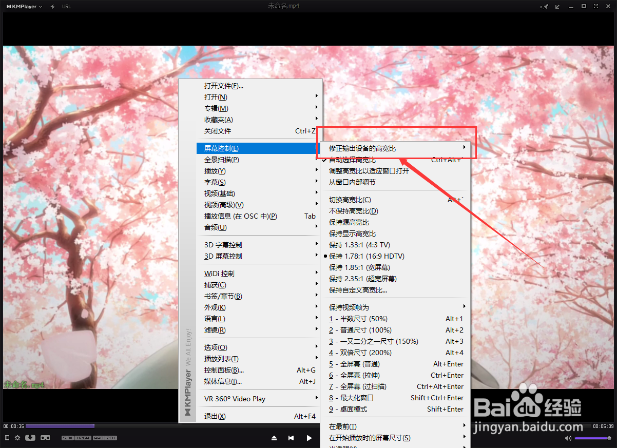 Kmplayer如何修正输出设备高宽比