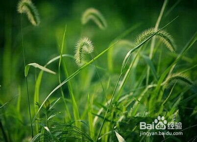 数据包中的图片去除水印的方法