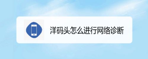 洋码头怎么进行网络诊断